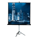 Экран Lumien Master View LMV-100106