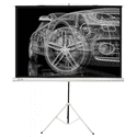 Экран Cactus Triscreen CS-PST-124X221