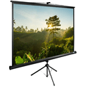 Экран Cactus TriExpert CS-PSTE-200х200-BK