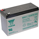 Аккумуляторная батарея для ИБП Yuasa REW45-12