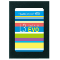 Накопитель SSD TEAMGROUP 240ГБ L3 EVO T253LE240GTC101