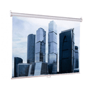 Экран Lumien Eco Picture LEP-100110