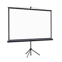 Экран Lumien Eco Picture LEV-100113