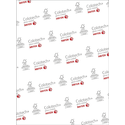Бумага XEROX Colotech Gloss A4210гм2250л 003R90345